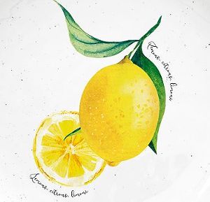 Лимоны (Amalfi)