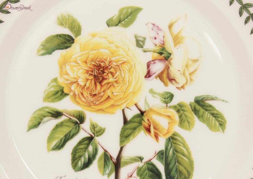 Тарелка обеденная "Ботанический сад. Розы. Teasing Georgia" 26,5 см - фото 2