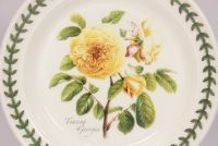 Тарелка десертная "Ботанический сад. Розы. Teasing Georgia" 18,5 см - фото 2