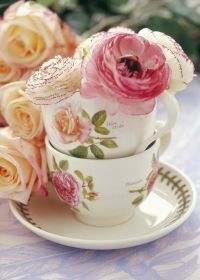 Тарелка десертная "Ботанический сад. Розы. Tamora Peach" 18,5 см - фото 6